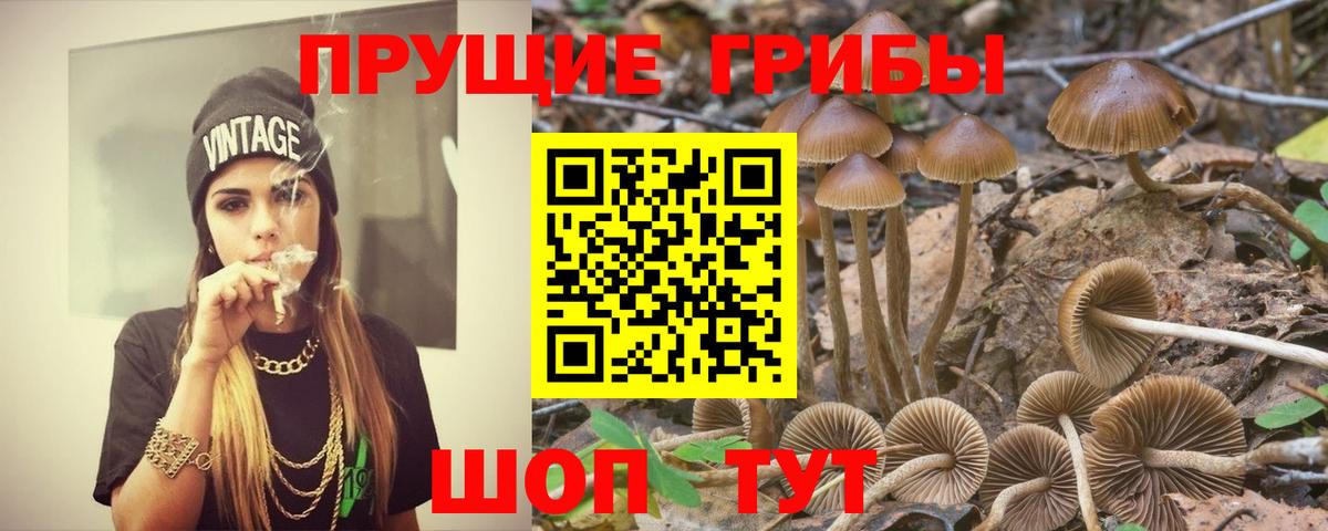 Красный Сулин  Галлюциногенные грибы Psilocybe  Псилоцибиновые грибы GOLDEN TEACHER  продажа наркотиков  Вход с VPN 