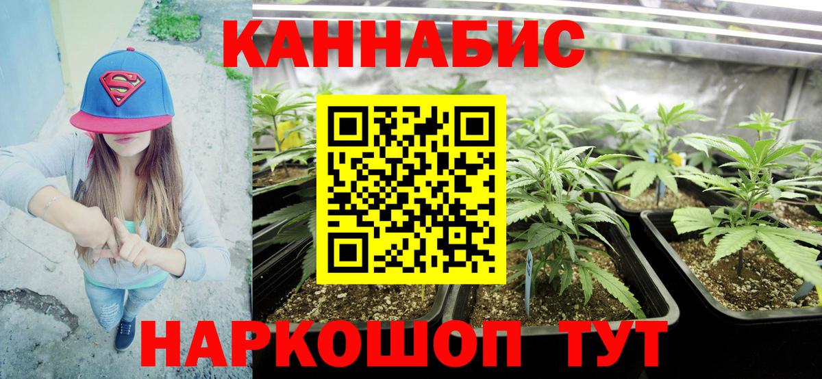МАРИХУАНА White Widow Красный Сулин
